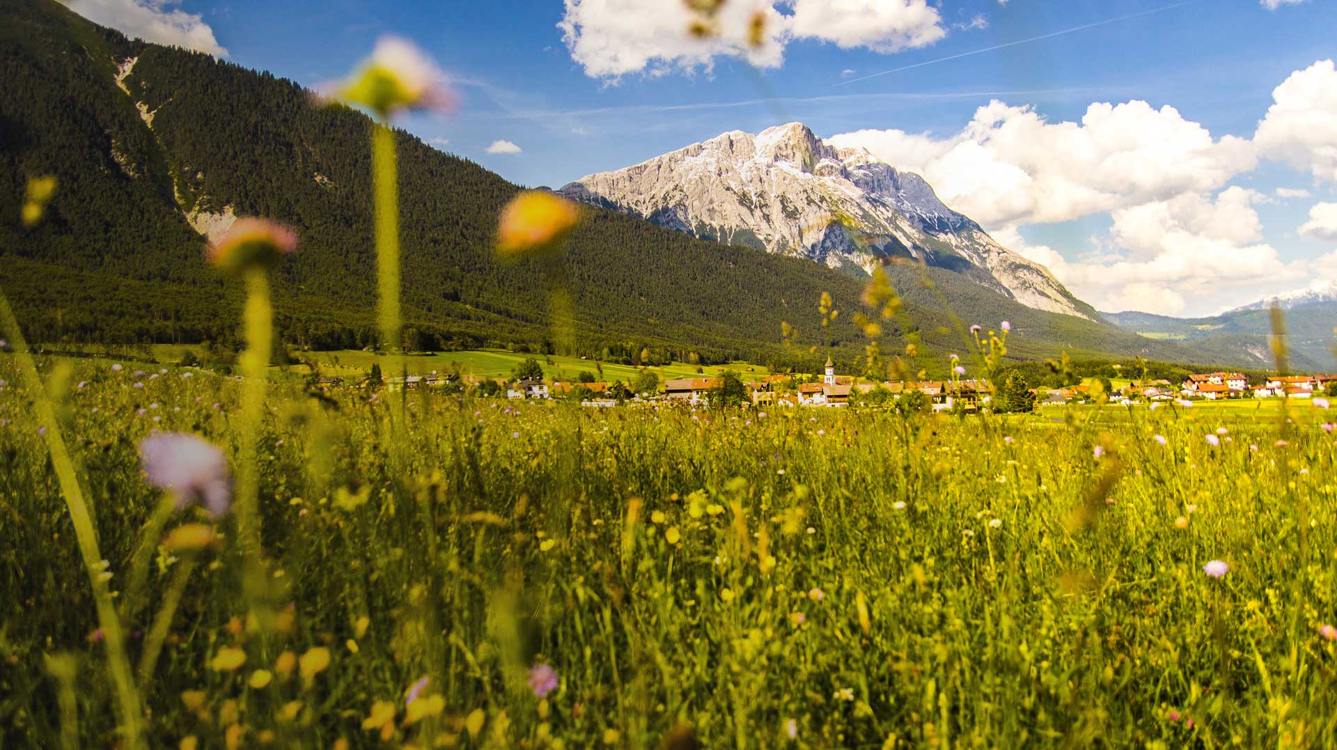 Wahlergebnis Nationalratswahl 2024 Gemeinde Wildermieming